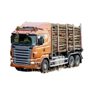 Grumes de bois