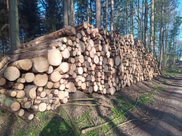 Grumes de Bois - Mélange de Bois Tendre (Résineux)